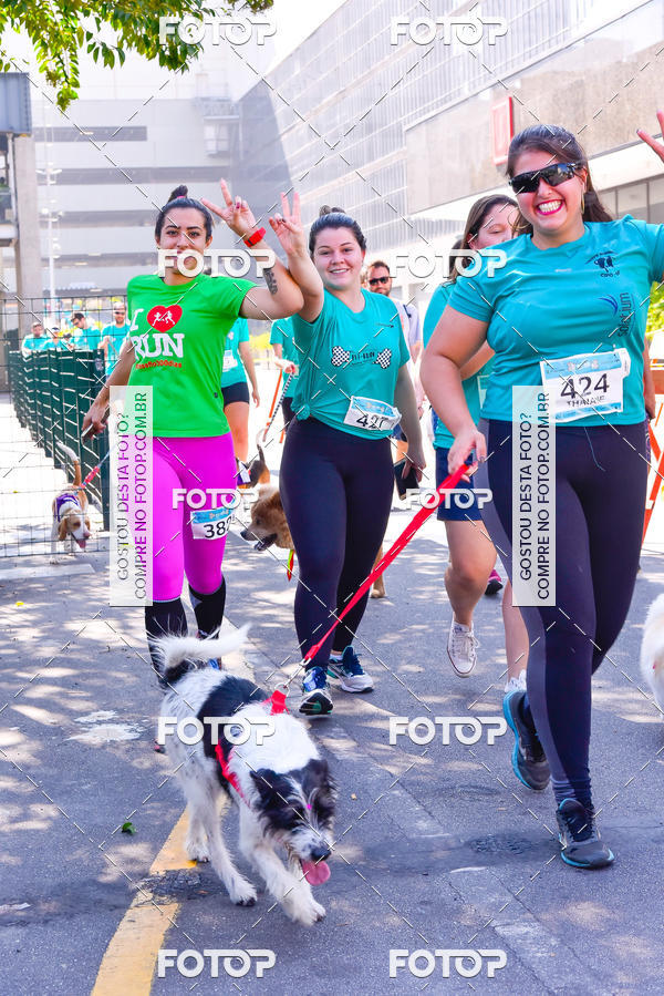 Buy your photos of the event2 Pet Run Shopping Eldorado  on Fotop
