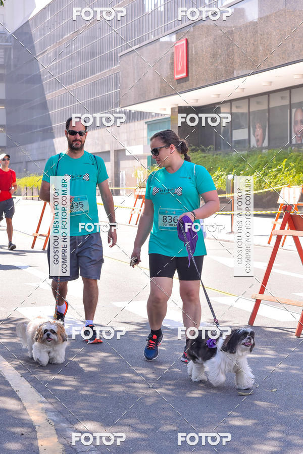 Buy your photos of the event2 Pet Run Shopping Eldorado  on Fotop