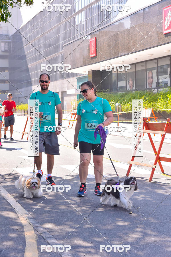Buy your photos of the event2 Pet Run Shopping Eldorado  on Fotop