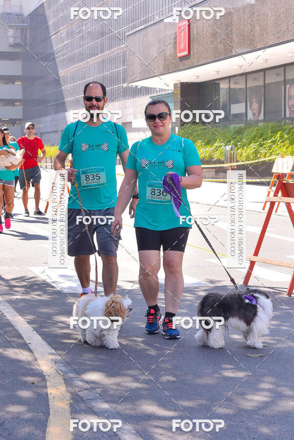 Buy your photos of the event2 Pet Run Shopping Eldorado  on Fotop