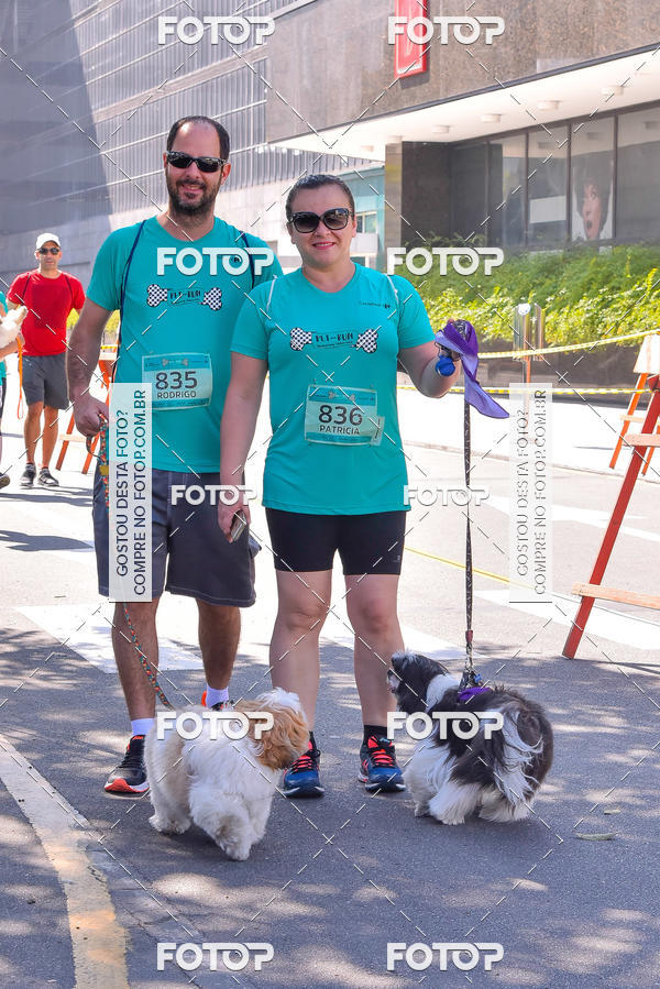 Buy your photos of the event2 Pet Run Shopping Eldorado  on Fotop