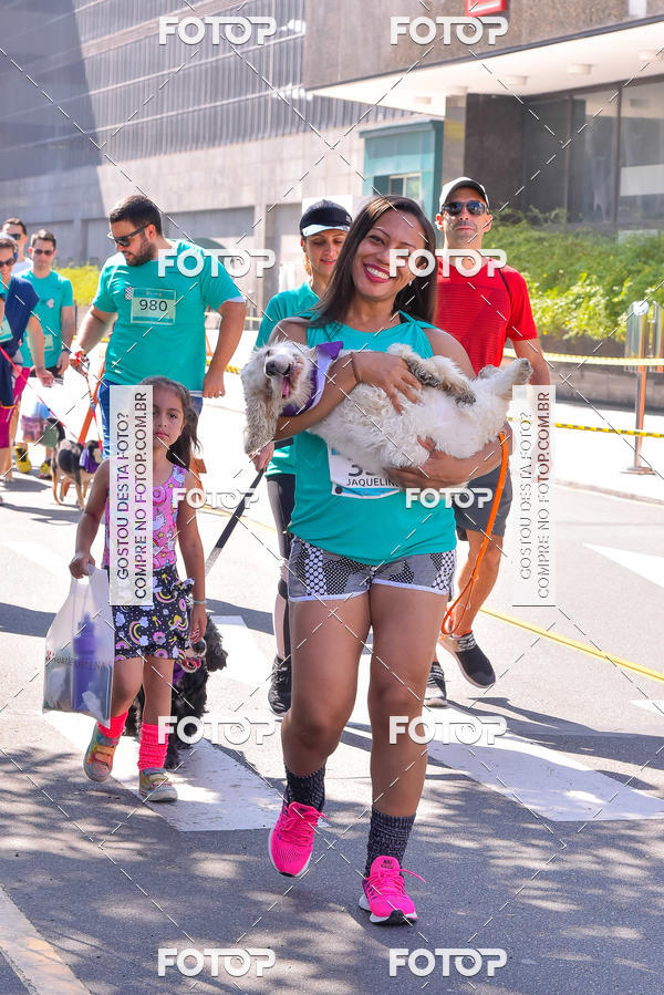Buy your photos of the event2 Pet Run Shopping Eldorado  on Fotop