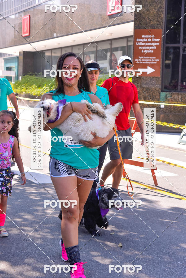 Buy your photos of the event2 Pet Run Shopping Eldorado  on Fotop