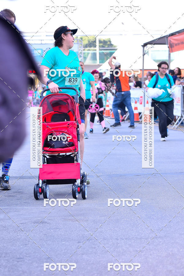 Buy your photos of the event2 Pet Run Shopping Eldorado  on Fotop