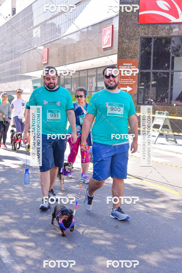 Buy your photos of the event2 Pet Run Shopping Eldorado  on Fotop