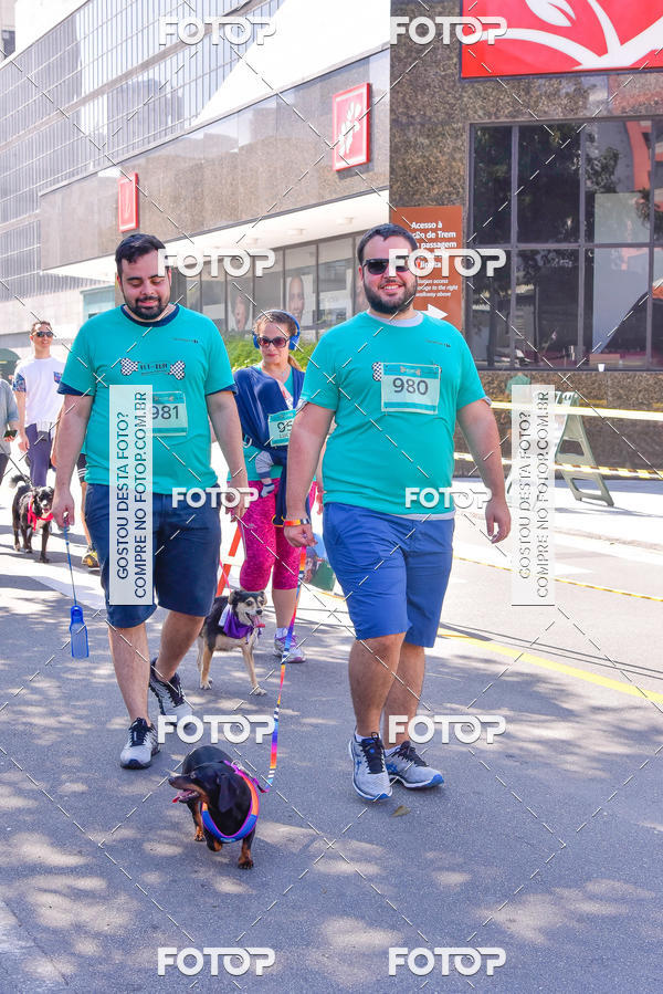 Buy your photos of the event2 Pet Run Shopping Eldorado  on Fotop