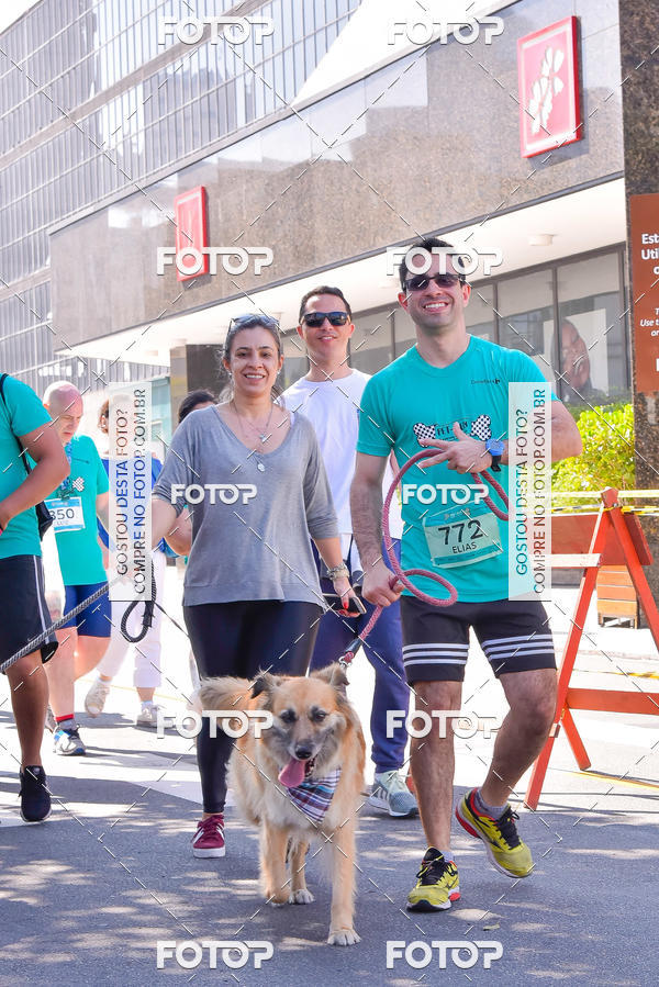 Buy your photos of the event2 Pet Run Shopping Eldorado  on Fotop