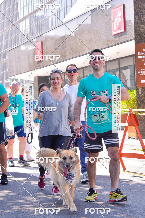 Buy your photos of the event2 Pet Run Shopping Eldorado  on Fotop