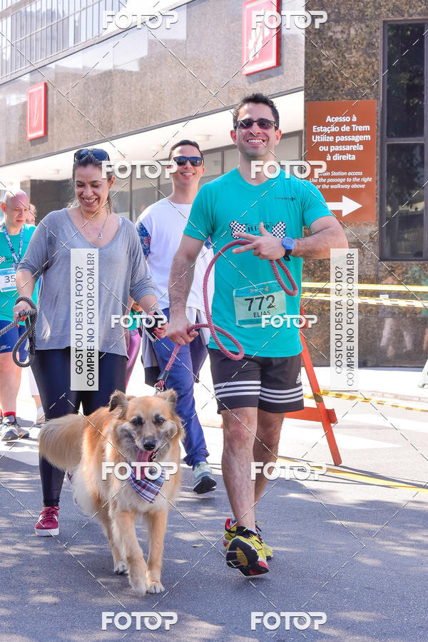 Buy your photos of the event2 Pet Run Shopping Eldorado  on Fotop