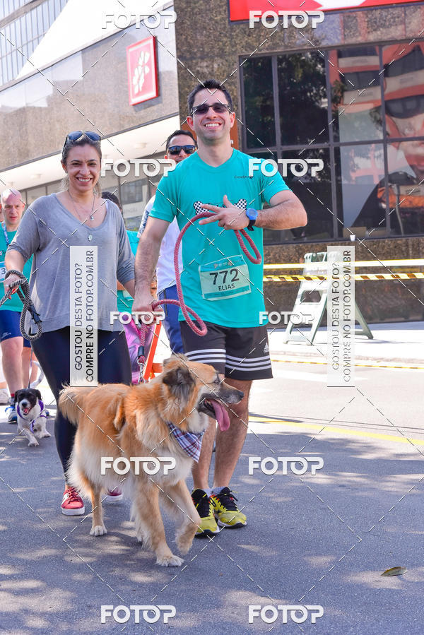 Buy your photos of the event2 Pet Run Shopping Eldorado  on Fotop