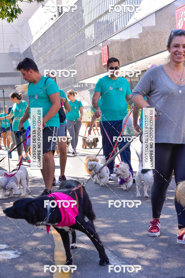 Buy your photos of the event2 Pet Run Shopping Eldorado  on Fotop