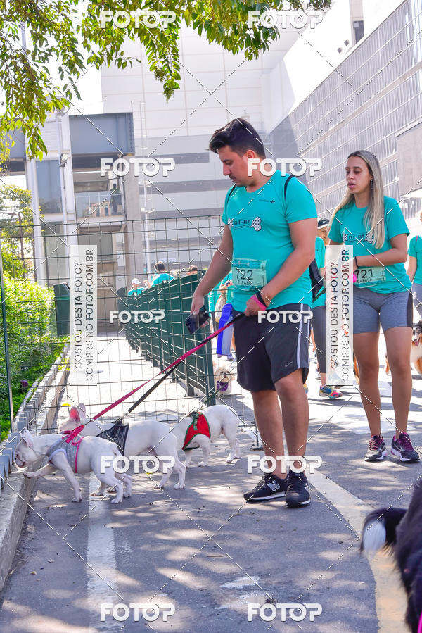 Buy your photos of the event2 Pet Run Shopping Eldorado  on Fotop