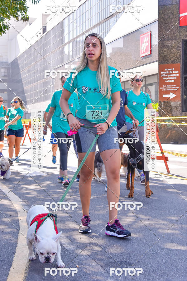 Buy your photos of the event2 Pet Run Shopping Eldorado  on Fotop