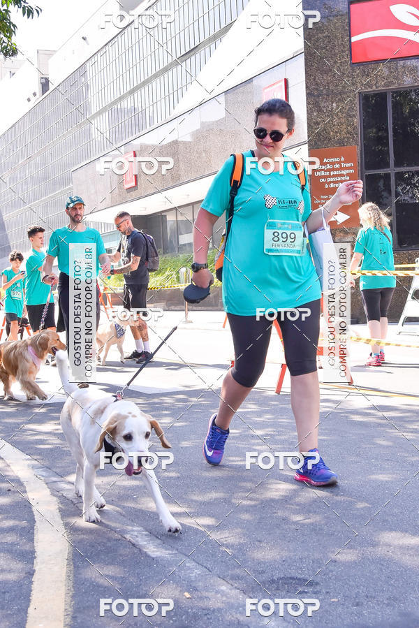 Buy your photos of the event2 Pet Run Shopping Eldorado  on Fotop