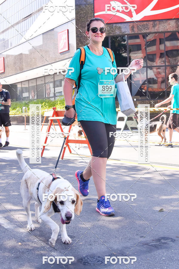 Buy your photos of the event2 Pet Run Shopping Eldorado  on Fotop