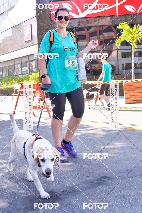 Buy your photos of the event2 Pet Run Shopping Eldorado  on Fotop