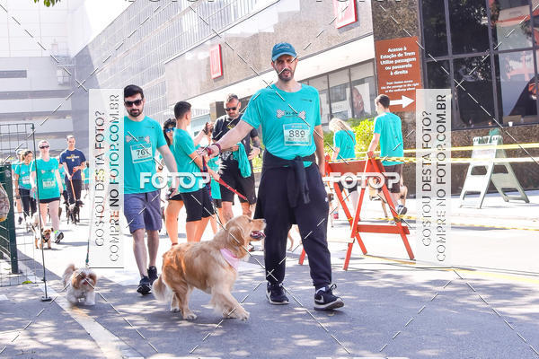Buy your photos of the event2 Pet Run Shopping Eldorado  on Fotop