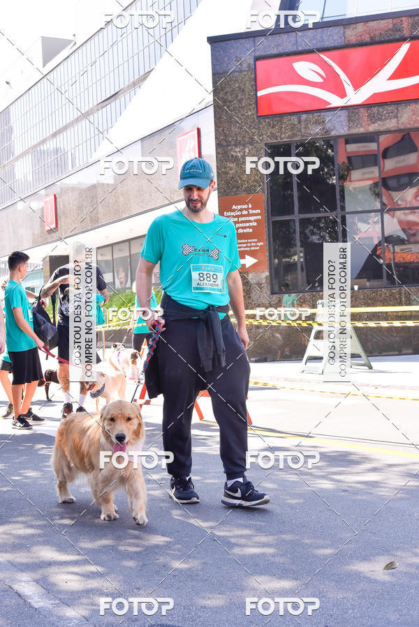 Buy your photos of the event2 Pet Run Shopping Eldorado  on Fotop