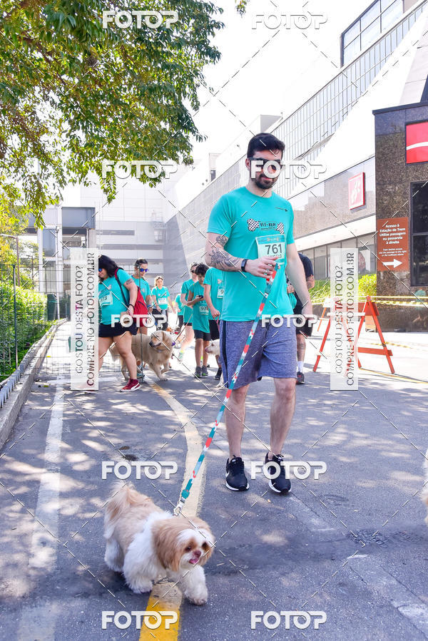 Buy your photos of the event2 Pet Run Shopping Eldorado  on Fotop