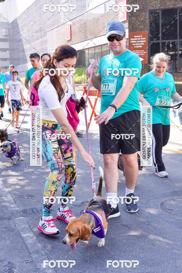 Buy your photos of the event2 Pet Run Shopping Eldorado  on Fotop