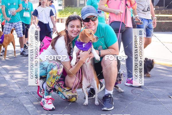 Buy your photos of the event2 Pet Run Shopping Eldorado  on Fotop