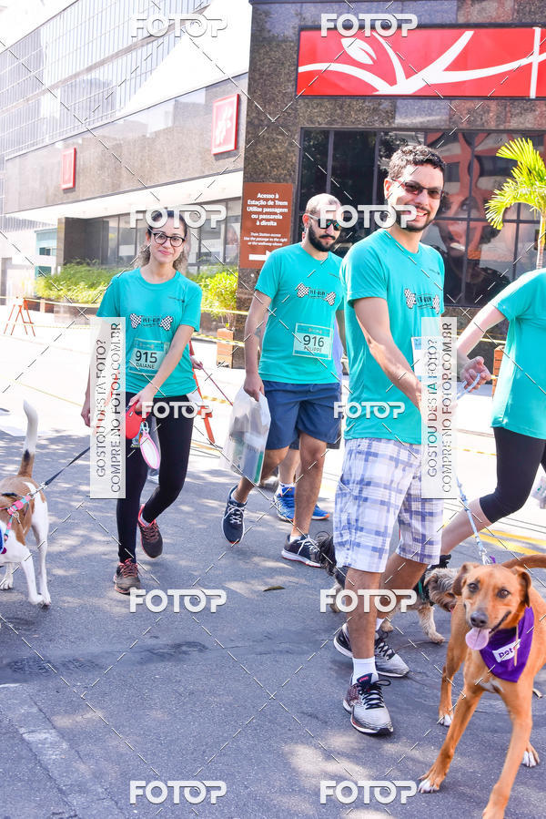 Buy your photos of the event2 Pet Run Shopping Eldorado  on Fotop