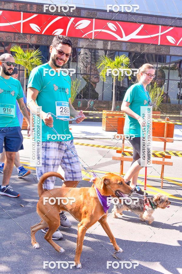 Buy your photos of the event2 Pet Run Shopping Eldorado  on Fotop