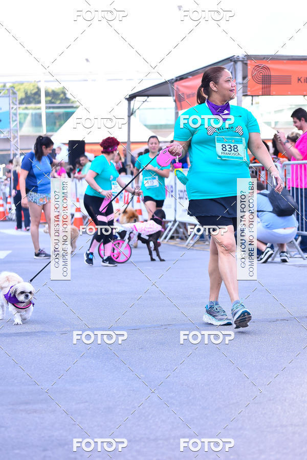 Buy your photos of the event2 Pet Run Shopping Eldorado  on Fotop