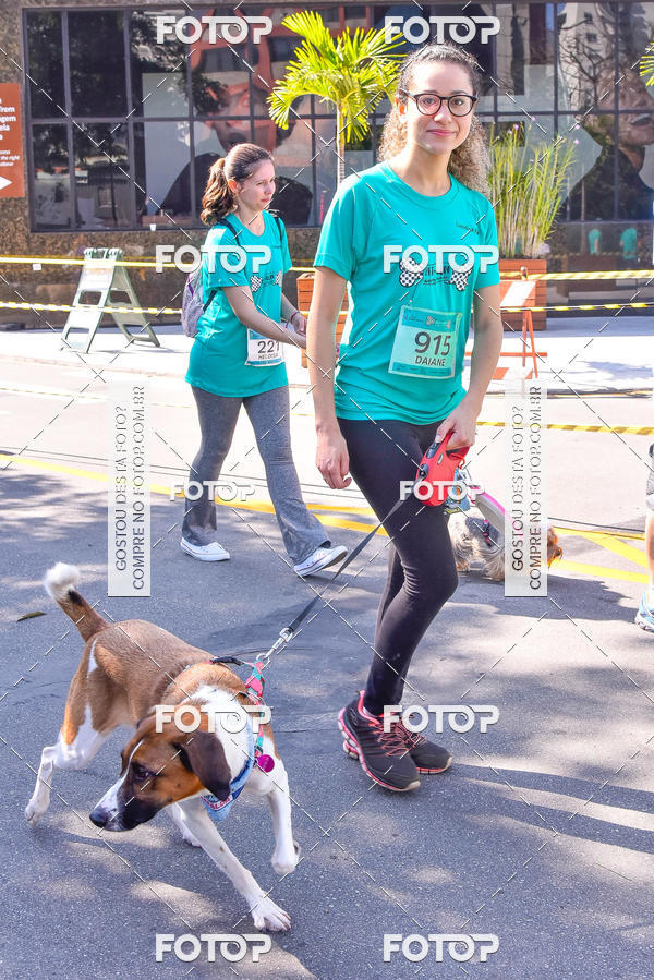 Buy your photos of the event2 Pet Run Shopping Eldorado  on Fotop