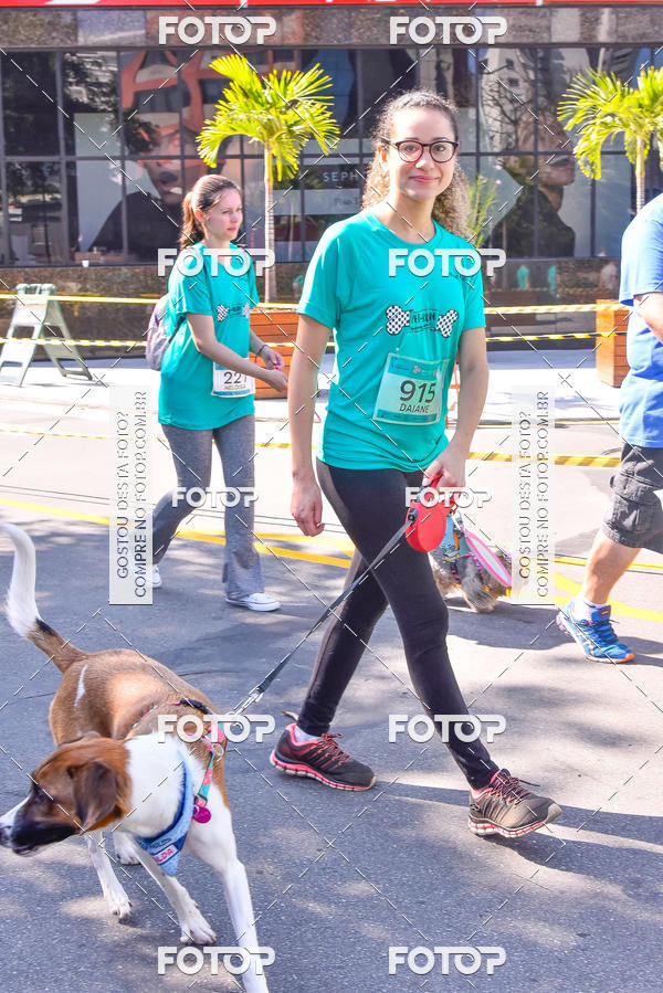 Buy your photos of the event2 Pet Run Shopping Eldorado  on Fotop