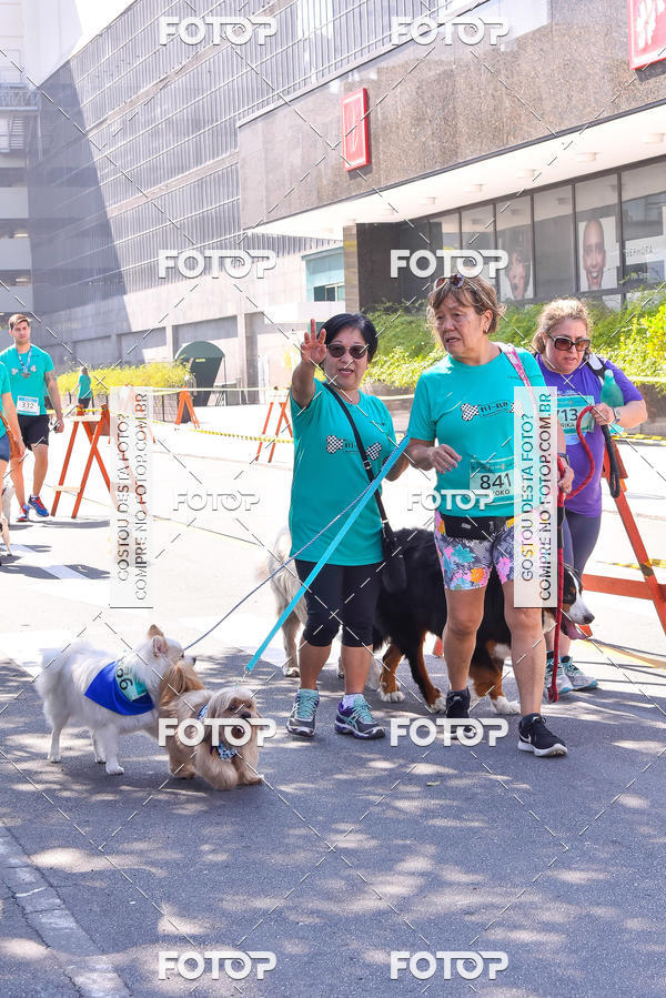 Buy your photos of the event2 Pet Run Shopping Eldorado  on Fotop