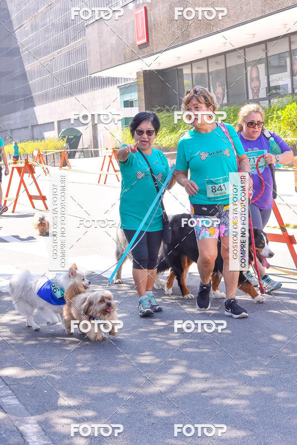 Buy your photos of the event2 Pet Run Shopping Eldorado  on Fotop