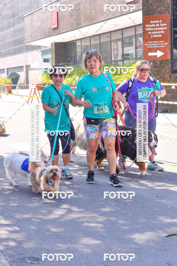 Buy your photos of the event2 Pet Run Shopping Eldorado  on Fotop