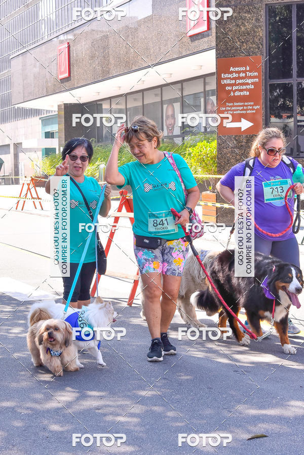 Buy your photos of the event2 Pet Run Shopping Eldorado  on Fotop