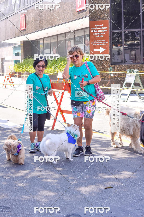 Buy your photos of the event2 Pet Run Shopping Eldorado  on Fotop