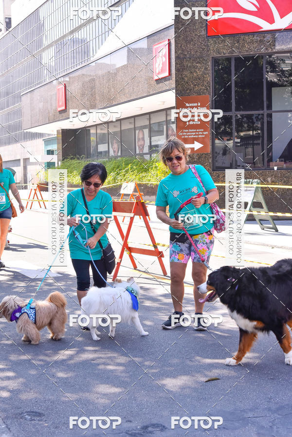 Buy your photos of the event2 Pet Run Shopping Eldorado  on Fotop