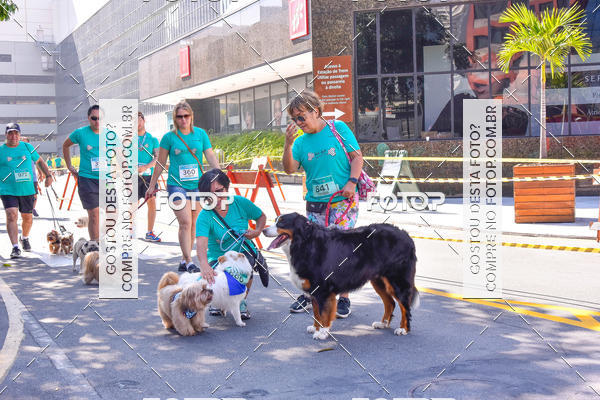 Buy your photos of the event2 Pet Run Shopping Eldorado  on Fotop