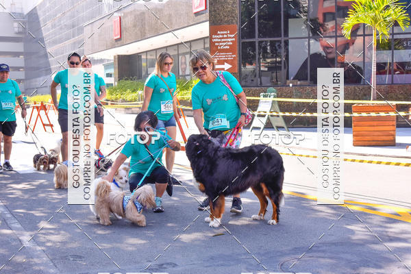 Buy your photos of the event2 Pet Run Shopping Eldorado  on Fotop