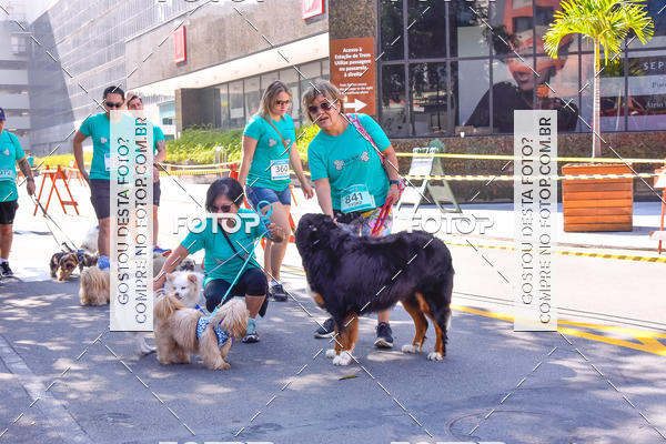 Buy your photos of the event2 Pet Run Shopping Eldorado  on Fotop