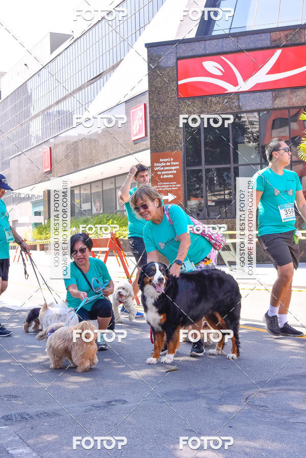 Buy your photos of the event2 Pet Run Shopping Eldorado  on Fotop