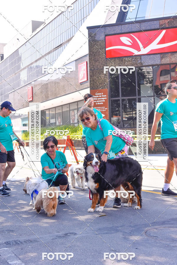 Buy your photos of the event2 Pet Run Shopping Eldorado  on Fotop