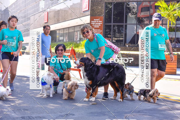 Buy your photos of the event2 Pet Run Shopping Eldorado  on Fotop