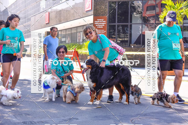 Buy your photos of the event2 Pet Run Shopping Eldorado  on Fotop