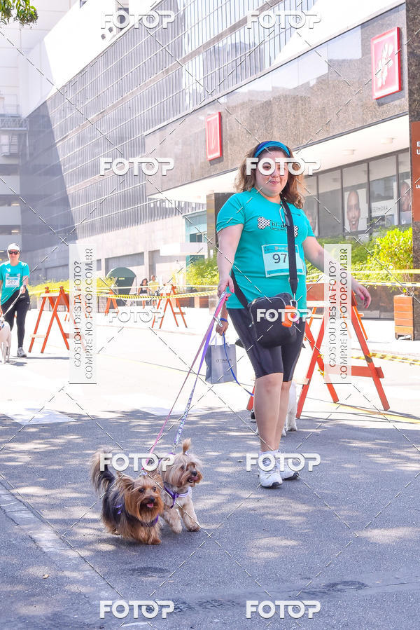 Buy your photos of the event2 Pet Run Shopping Eldorado  on Fotop
