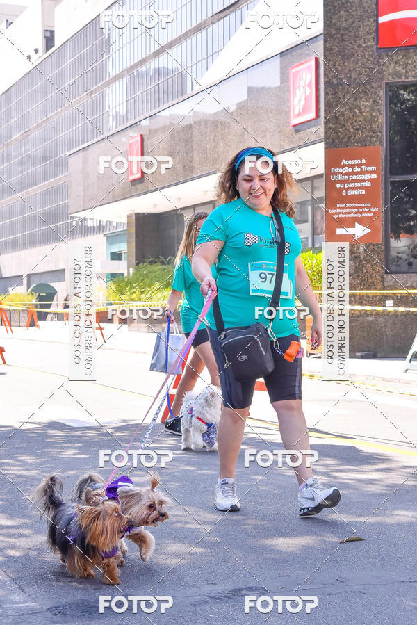 Buy your photos of the event2 Pet Run Shopping Eldorado  on Fotop