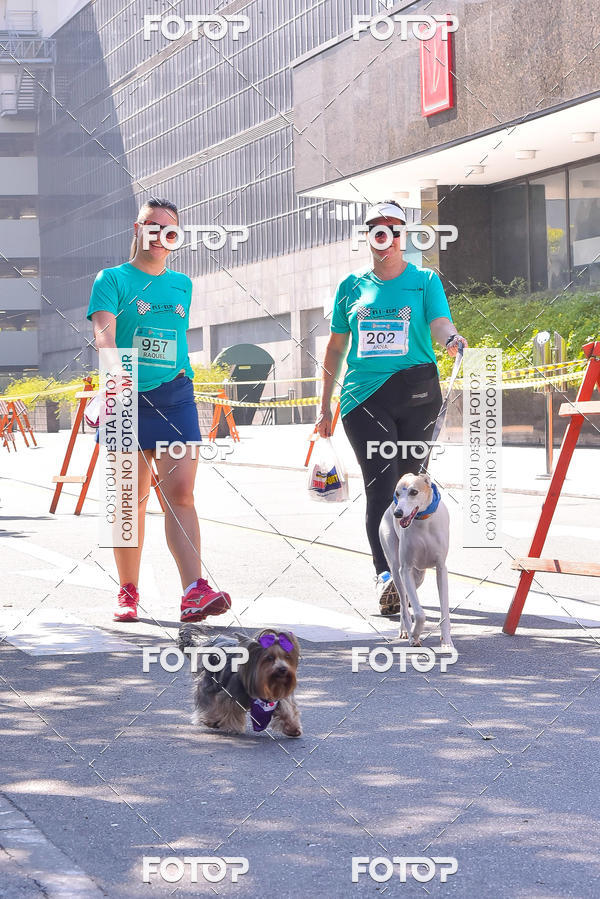 Buy your photos of the event2 Pet Run Shopping Eldorado  on Fotop