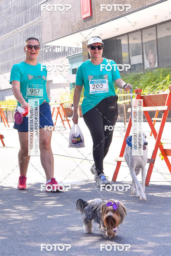 Buy your photos of the event2 Pet Run Shopping Eldorado  on Fotop