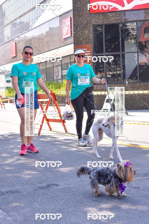 Buy your photos of the event2 Pet Run Shopping Eldorado  on Fotop