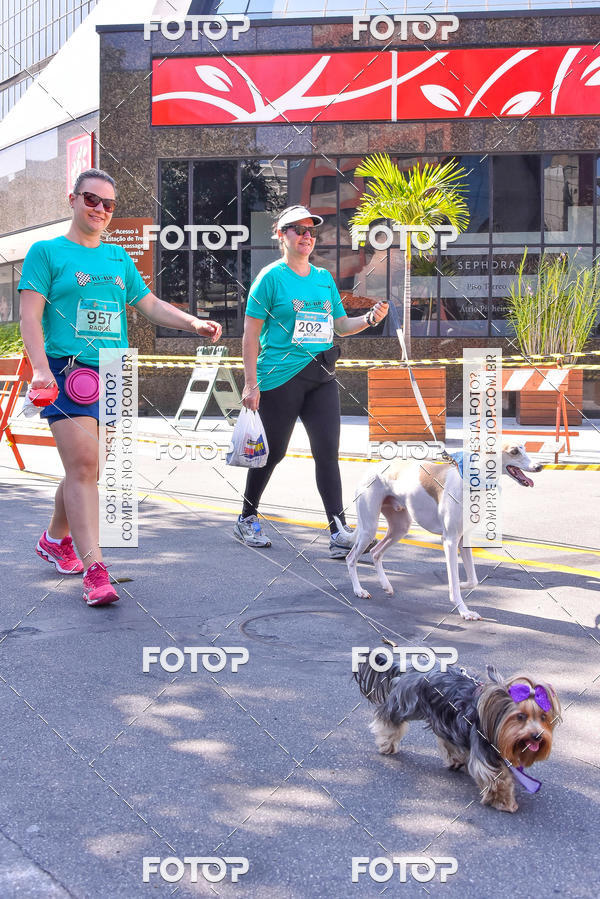 Buy your photos of the event2 Pet Run Shopping Eldorado  on Fotop