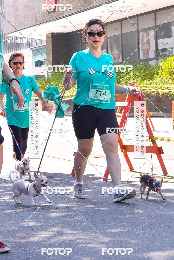 Buy your photos of the event2 Pet Run Shopping Eldorado  on Fotop